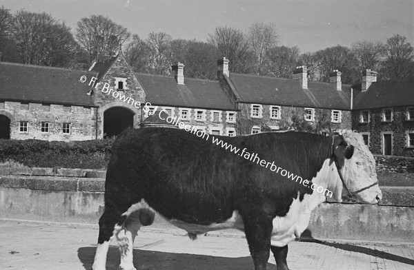 HEADFORD HOUSE  THE FARM YARD